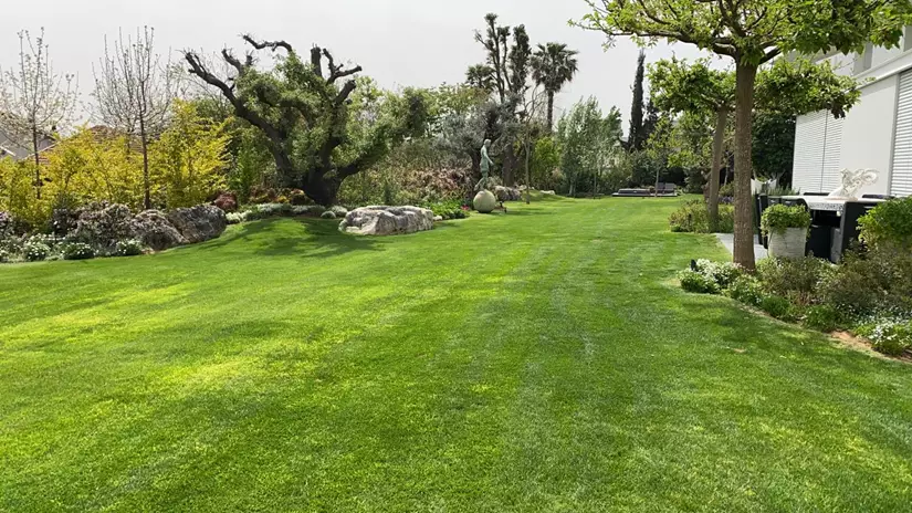 תחזוקת גינה 10